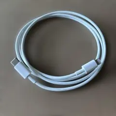アップル純正USB Type-C Lightningケーブル 約1メートル