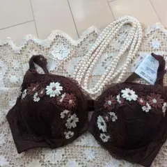 お値下げしました！Wacoal花柄刺繍 ブラウン ブラジャーE75