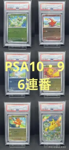 2025年最新】ホゲータ ar psaの人気アイテム - メルカリ