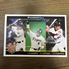 阪神 優勝記念 ハガキサイズ 3枚セット マナブさん専用 2026年最新】3 阪神 優勝 はがきの人気アイテム - メルカリ