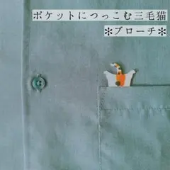 ポケットにつっこむ三毛猫 ✱ ブローチ ✱