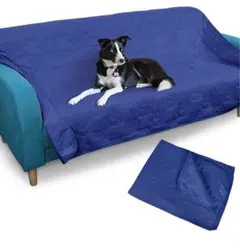 Item thumbnail for item 21afc478-0e67-4e4c-84a4-493765e41689