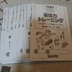 2025年最新】sapix 基礎トレ 4年の人気アイテム - メルカリ