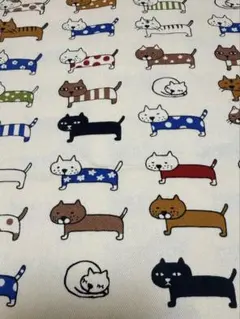 綿ツイル生地白地整列猫110cm×100cm