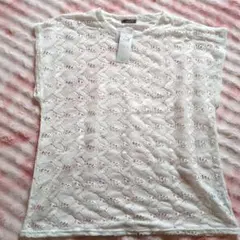 Item thumbnail for item 3352d6ef-6072-4fa3-9c74-2c0d07d599f8