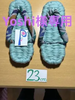 Item thumbnail for item c1e9b58f-289b-47a3-bb68-d77eea7e8816