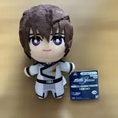 機動戦士ガンダム SEED FREEDOM ともぬい キラ ・ ヤマト