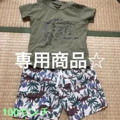 Item thumbnail for item 02da8cfd-a6bc-4481-a45b-f0cc483aa7ec