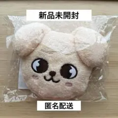 スキズ RUN IT ショルダーポーチ ウルフチャン バンチャン