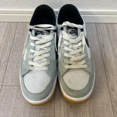 NIKE SB Adversary Light Dew