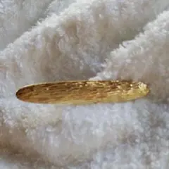 Item thumbnail for item b1737a91-7818-469d-9f89-b64741226205