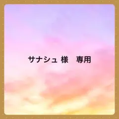 サナシュ 様　専用です