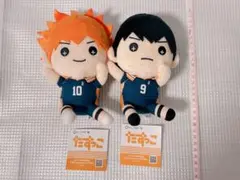 たすっこ ハイキュー 日向 影山