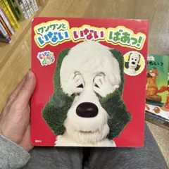 いないいないばあっ!ワンワンといないいないばあっ!仕掛け絵本