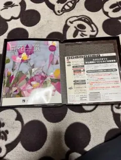 Item thumbnail for item 03e262a4-a93a-4551-953d-f0f40d89e76b