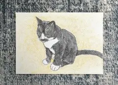猫の絵 色鉛筆画　手描き原画　2Lサイズ