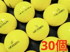 ネクスジェン 各種混合 30個　　イエロー