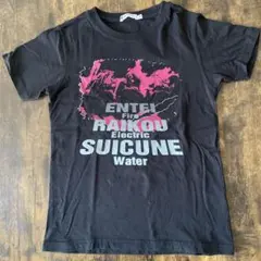 ☆ポケモン☆UNIQLO☆ライコウエンテイスイクン☆Tシャツ☆140☆黒☆