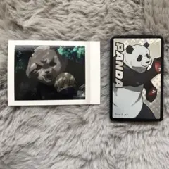 呪術廻戦 パンダ パシャこれ ケース