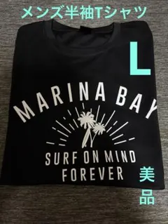 メンズ半袖Tシャツ、Lサイズ、ブラック。美品