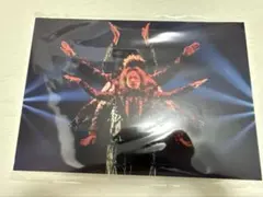 PRIMAL SPIDER 山本彰吾 パネル