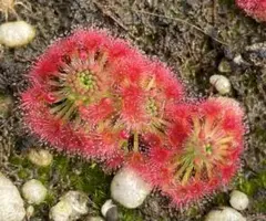 ミーヤ様 リクエスト 5点 まとめ商品