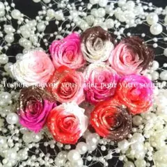 Item thumbnail for item 695272a2-3176-424a-bd01-9247bdaa60e4