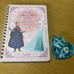 アナ雪 ノート ミラー まとめ売り