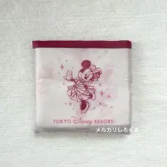 東京ディズニーリゾート 40周年 カプセルトイ エコバッグ グランドフィナーレ