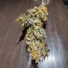 imoimoまま 様専用♡ミモザ　ドライフラワー♡