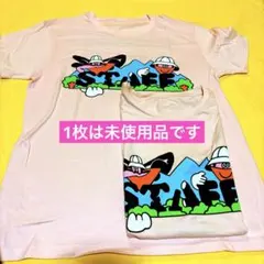 Item thumbnail for item 394b4230-d1bd-4cd4-a845-e536c04eabc4