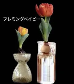 2025年最新】球根 花瓶の人気アイテム - メルカリ