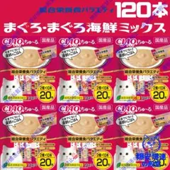 ☆未開封☆CIAO ちゅ〜るグルメ 60本入り 5缶セット合計300本 - メルカリ