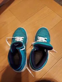 アシックス　ダンクショット20.5