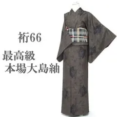 未使用 新品 美品 袷 正絹 証紙付き 本場奄美大島紬フルセット 裄66