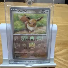 ま*ん様 ポケカ　ブイズ　マスボミラー　５枚 2026年最新】マスボミラー イーブイの人気アイテム - メルカリ