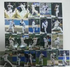 2020 埼玉西武ライオンズ①