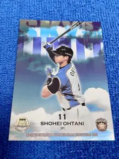 Item thumbnail for item d2af7bb9-2cc2-4d60-ad72-2124548b328c