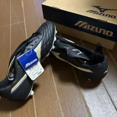 MIZUNO クエーサーカップ 12KP-36001 26.0cmのサムネイル