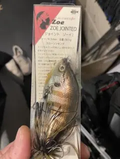 Item thumbnail for item 8245b20f-59e3-461c-a481-574d1c380971