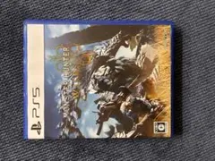 モンスターハンターワイルズ PS5