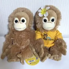 ベイビーココ & ナツ ぬいぐるみ 2個セット