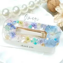 no.1819 レジン ヘアゴム ブローチ ポニーフック 蝶々 - メルカリ