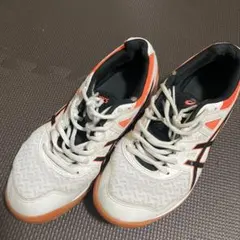 아식스 핸드볼 슈즈 25.0cm