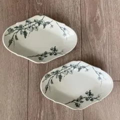 リチャードジノリ 皆川明 ミナペルホネン フロレンティア19cm 皿 2枚