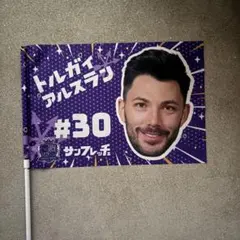 【即発送】サンフレッチェ広島30 トルガイ カタカナフラッグ ポール無し