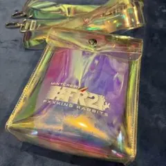 #FR2 MINTCREW 確実正規品 ショルダーバッグ オーロラのサムネイル