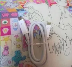 わんこ様専用APPLE THUNDERBOLT 2 0.5m ケーブル