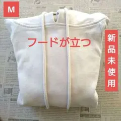 Item thumbnail for item 902977c6-f5e7-4396-8a7d-d88f9e1d87cf