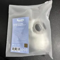 TXT テヒョン SNOW MAGIC ぬいぐるみ キーリング プルバトゥ